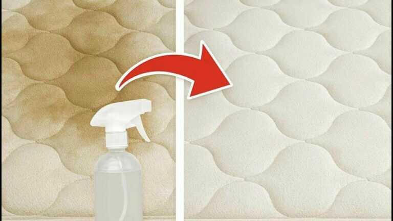 Wie man eine sehr schmutzige Matratze reinigt (Flecken und Gerüche verschwinden) 🛏✨