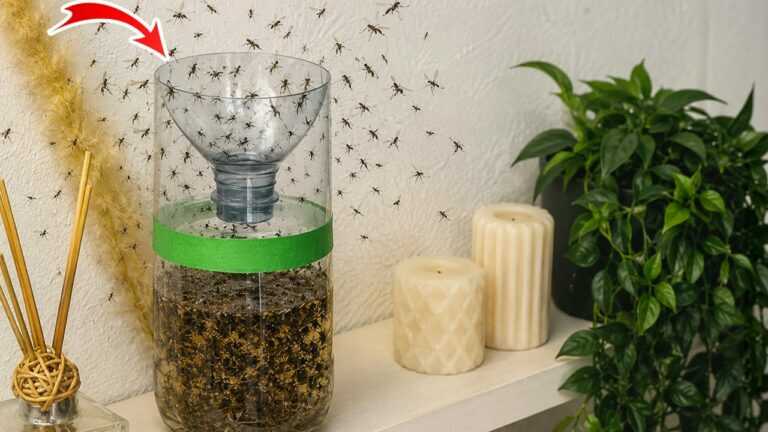 Arrêtez d’acheter ! Ce piège à moustiques capture des milliers de moustiques en quelques secondes