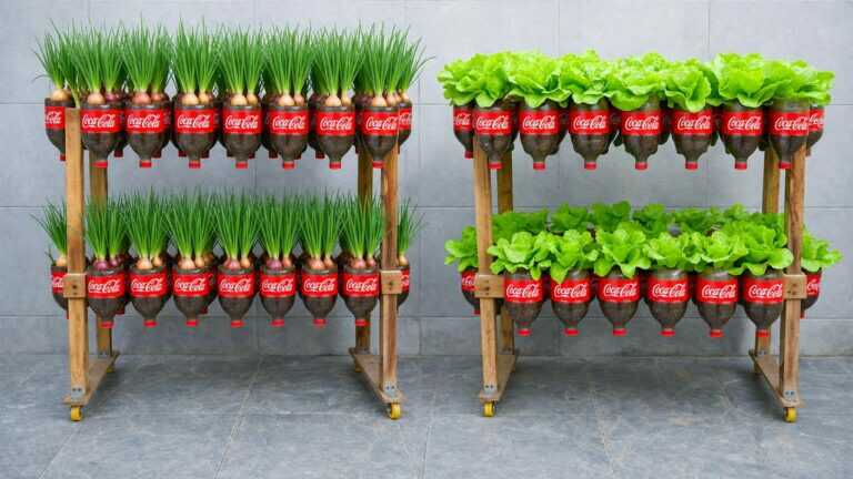 Jardin vertical à faire soi-même avec des bouteilles en plastique – Faire pousser de la laitue et des oignons verts facilement à la maison