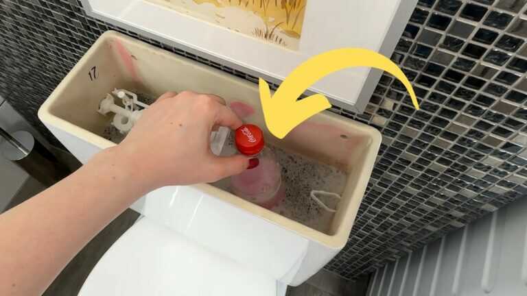 Mettez dans la chasse d’eau une fois par mois. La saleté ne s’accumulera pas dans les toilettes.