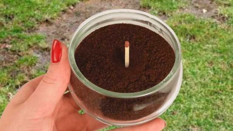Metti un fiammifero nei fondi di caffè. Il risultato è sorprendente!