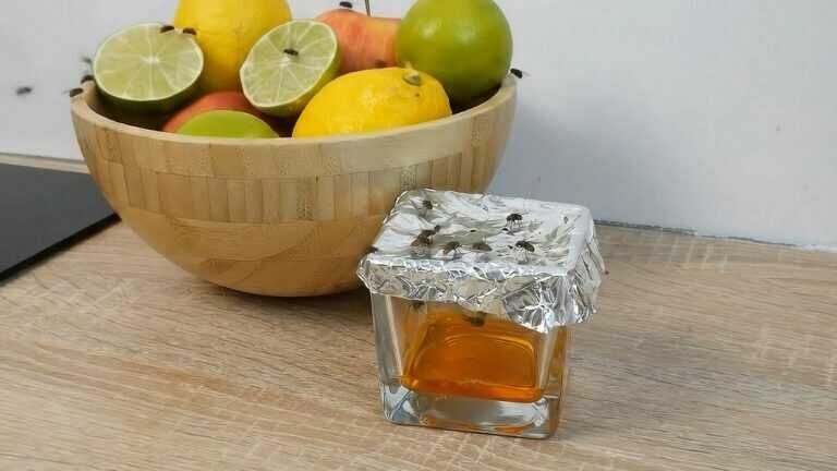 Il trucco della CARTA STAGNOLA per catturare TUTTE le mosche della frutta