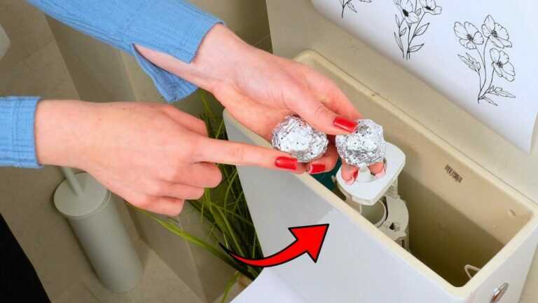 Meine Bekannte, die Putzfrau, macht das schon immer so. Im Badezimmer duftet es umwerfend