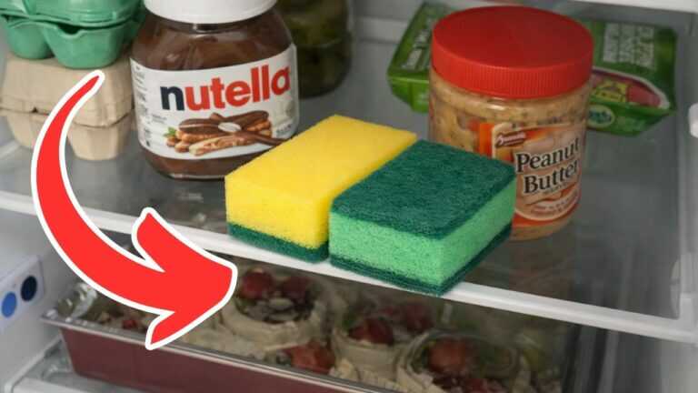 Fallo prima di andare a letto. Il cibo nel frigorifero sarà al sicuro.