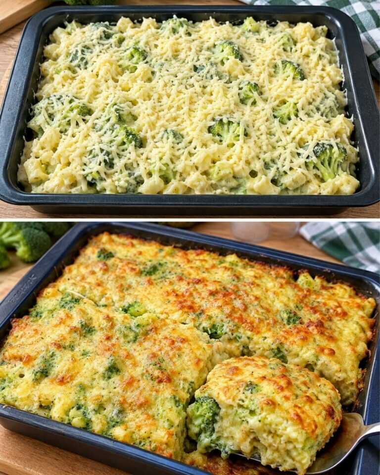 Zucchini und Pasta! Ein schnelles und leckeres Mittagessen für deine Familie! Rezept in 10 Minuten!