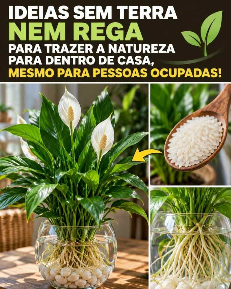 🌸Ideias sem terra nem rega para trazer a natureza para dentro de casa, mesmo para pessoas…