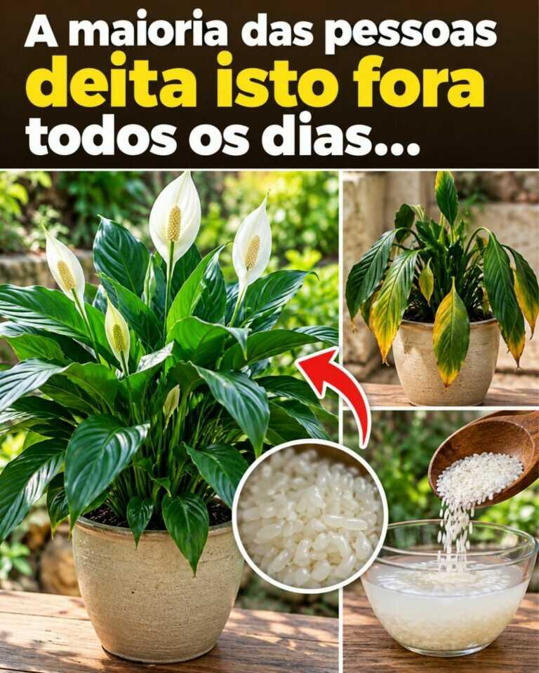 A maioria das pessoas deita isto fora todos os dias