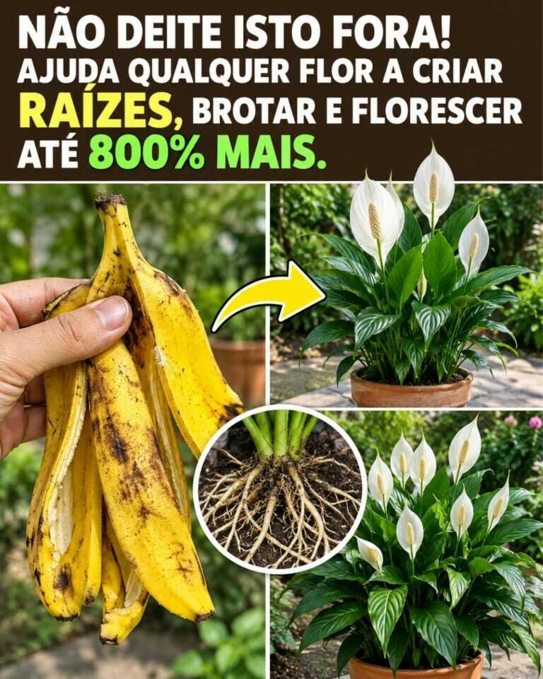 Não deite isto fora! Ajuda qualquer flor a criar raízes, brotar e florescer até 800% mais.