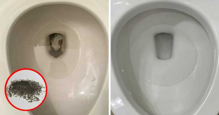 Die wirksamsten Tricks gegen schwarzen Schimmel im WC — ganz ohne großen Aufwand