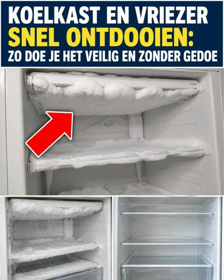 Koelkast en vriezer snel ontdooien: zo doe je het veilig en zonder gedoe