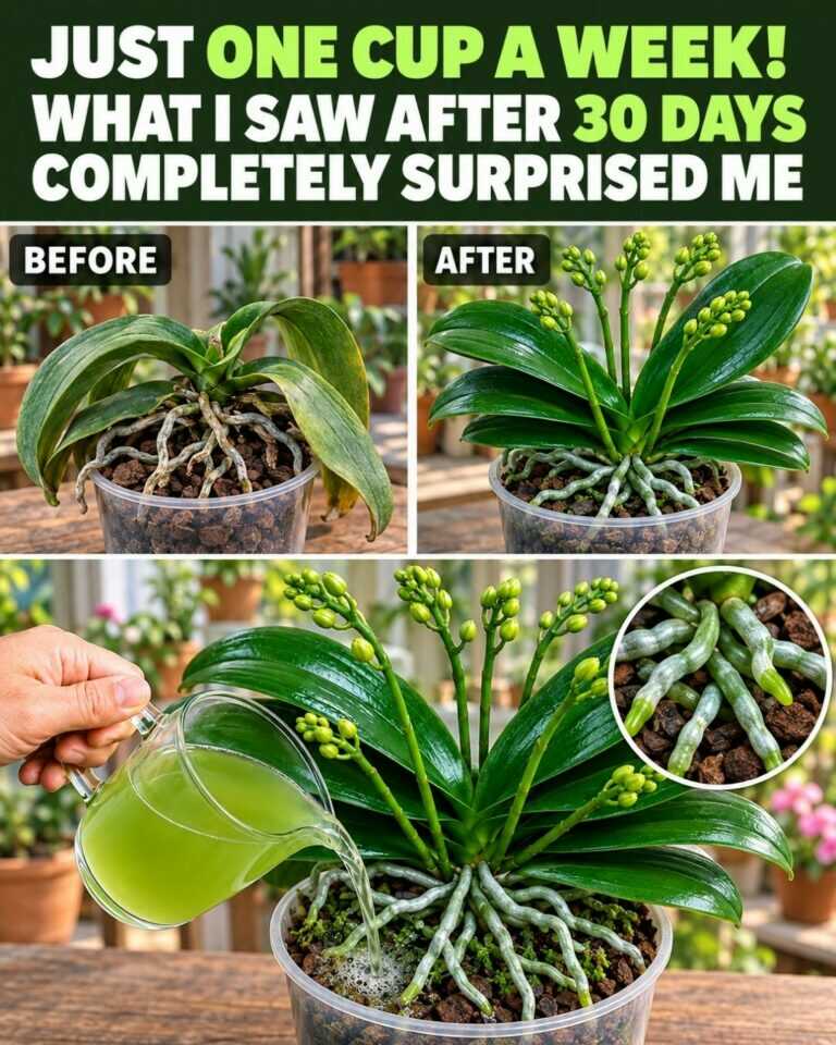 Just one cup a week! What I saw after 30 days completely surprised me.