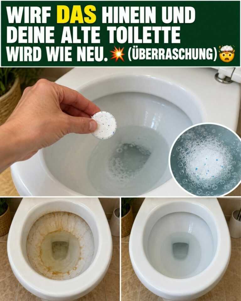 Wirf DAS hinein und deine ALTE Toilette wird wie NEU. 💥 (Überraschung) 🤯