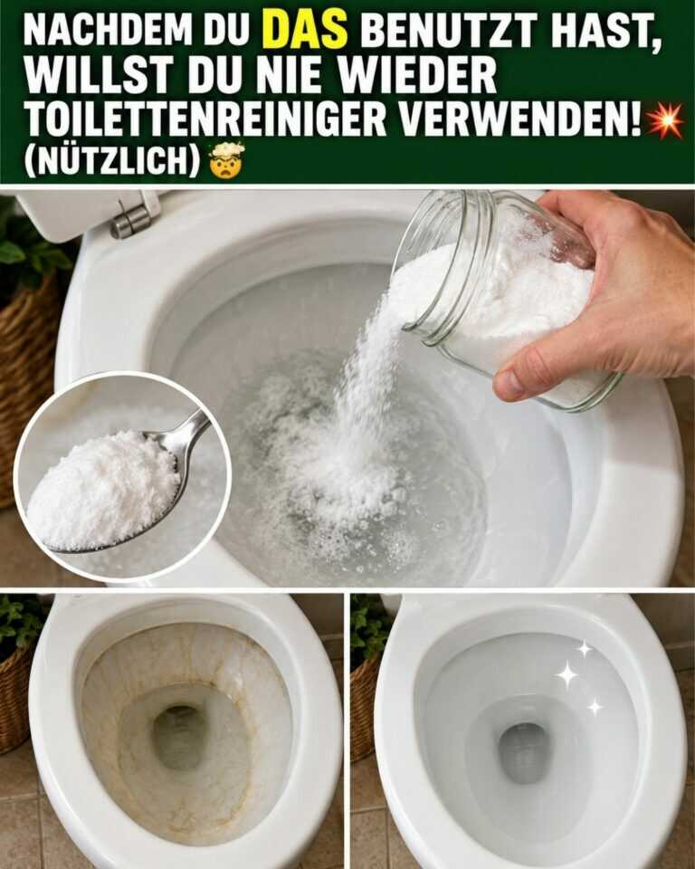 Nachdem du DAS benutzt hast, willst du NIE WIEDER Toilettenreiniger verwenden!💥(NÜTZLICH)🤯