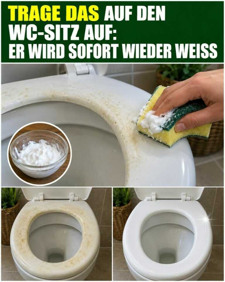 Trage DAS auf den WC-Sitz auf: Er wird sofort wieder weiß