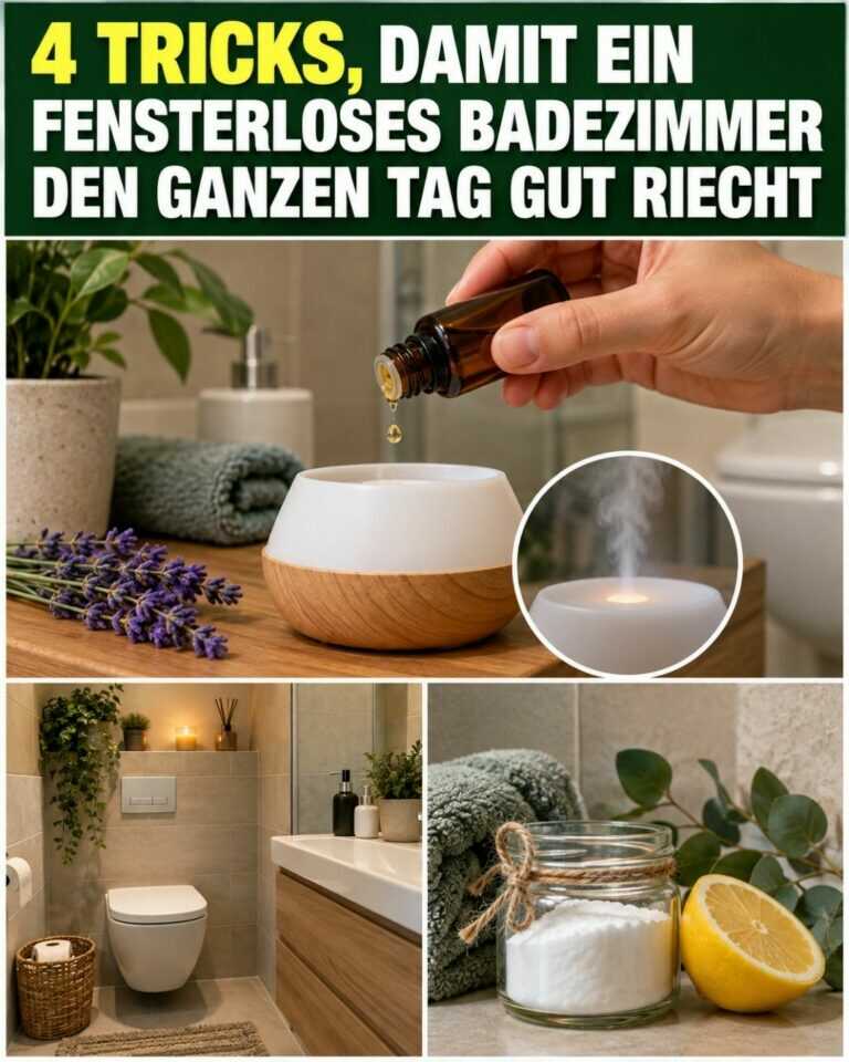 4 Tricks, damit ein fensterloses Badezimmer den ganzen Tag gut riecht