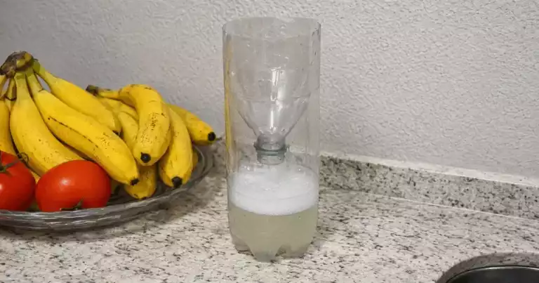Fliegen in nur einem Tag bekämpfen: So baust du eine einfache Falle aus einer Plastikflasche