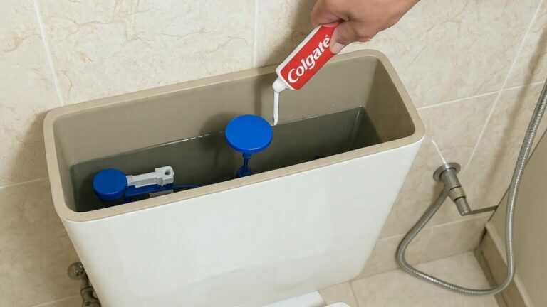 Gib einfach ZAHNCREME in die Toilettenspülung und du wirst dieses Problem nie wieder haben!