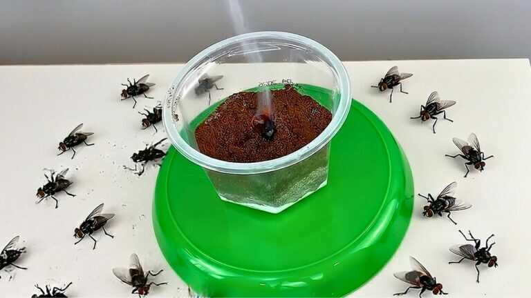 Fliegen weg in 5 Min! Nie wieder Ungeziefer