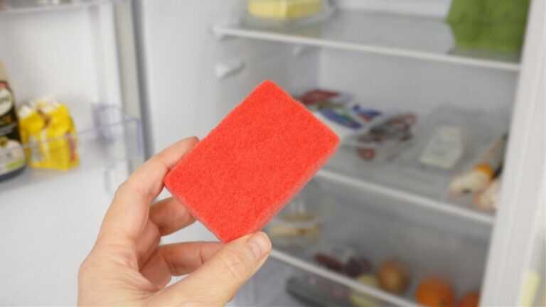 Leg DAS in deinen Kühlschrank und du wirst nie wieder Probleme haben