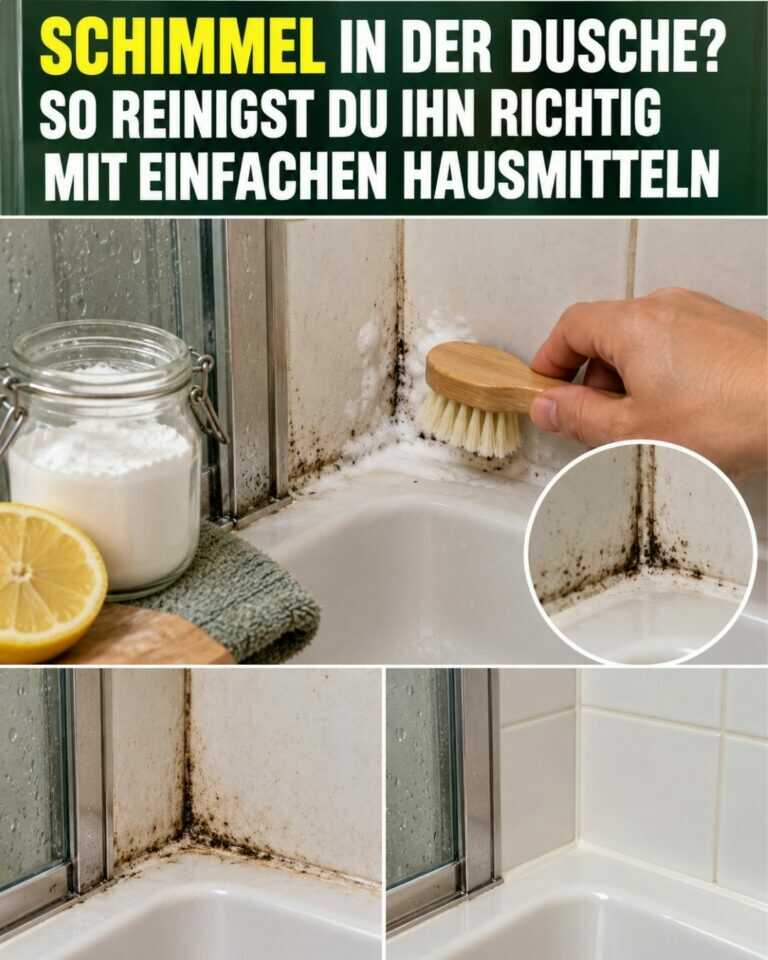 Schimmel in der Dusche? So reinigst du ihn richtig mit einfachen Hausmitteln