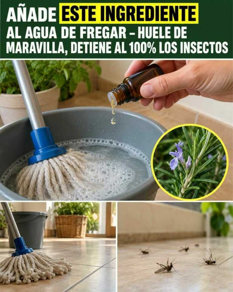 Añade ESTE ingrediente al agua de fregar — huele genial y ayuda a mantener alejados los insectos