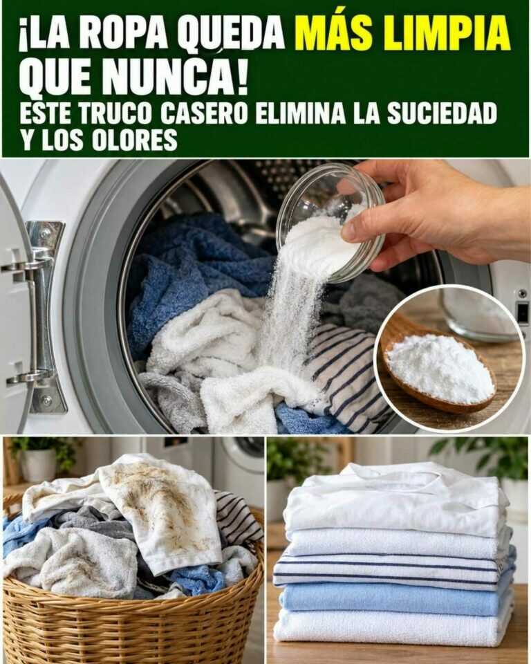 ¡La ropa queda más limpia que nunca! Este truco casero ayuda a eliminar suciedad y malos olores