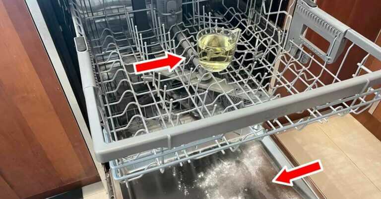 Como desengordurar, desinfetar e perfumar a máquina da loiça com o método do copo