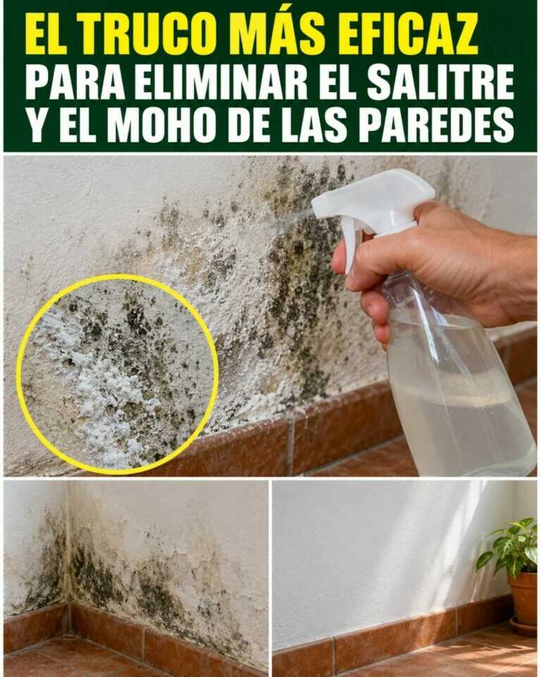 El truco más eficaz para eliminar el salitre y el moho de las paredes