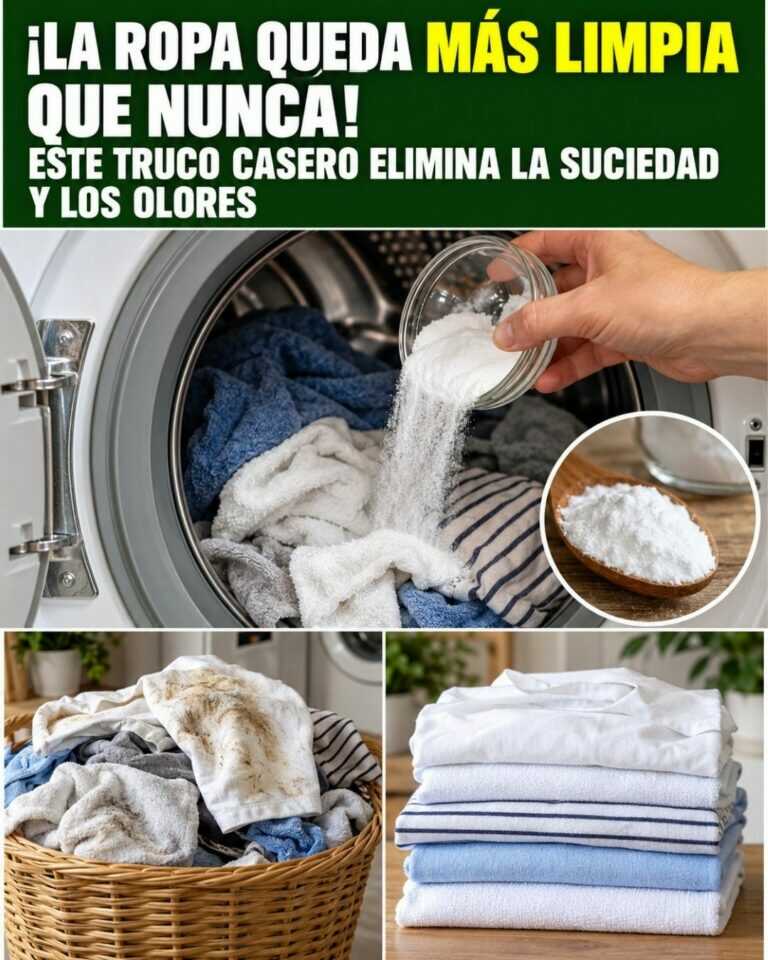 ¡La ropa queda más limpia que nunca! Este truco casero elimina la suciedad y los olores