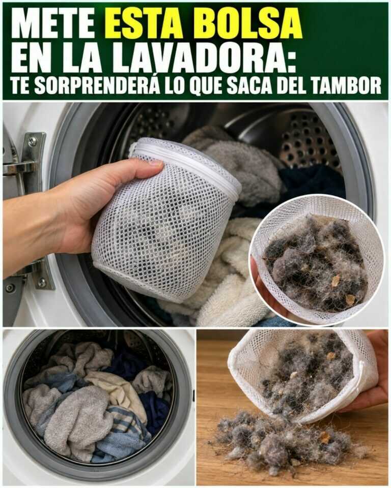 Mete ESTA bolsa en la lavadora: te sorprenderá lo que saca del tambor