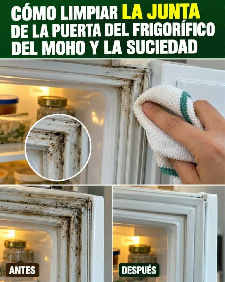 Cómo limpiar la junta de la puerta del frigorífico del moho y la suciedad