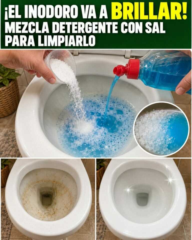 ¡El inodoro va a BRILLAR! Mezcla detergente con sal para limpiarlo