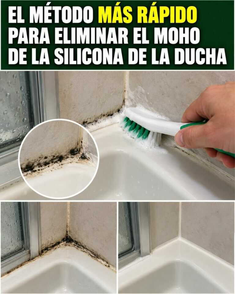 El método más rápido para eliminar el moho de la silicona de la ducha