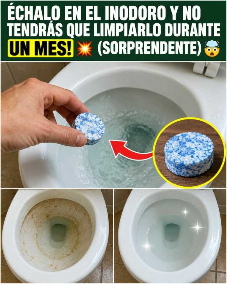 Échalo en el inodoro y no tendrás que limpiarlo durante UN MES! 💥 (SORPRENDENTE) 🤯