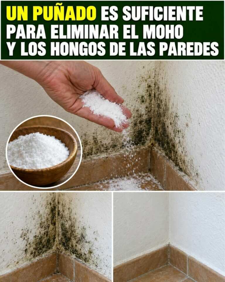 Un puñado es suficiente para eliminar el moho y los hongos de las paredes