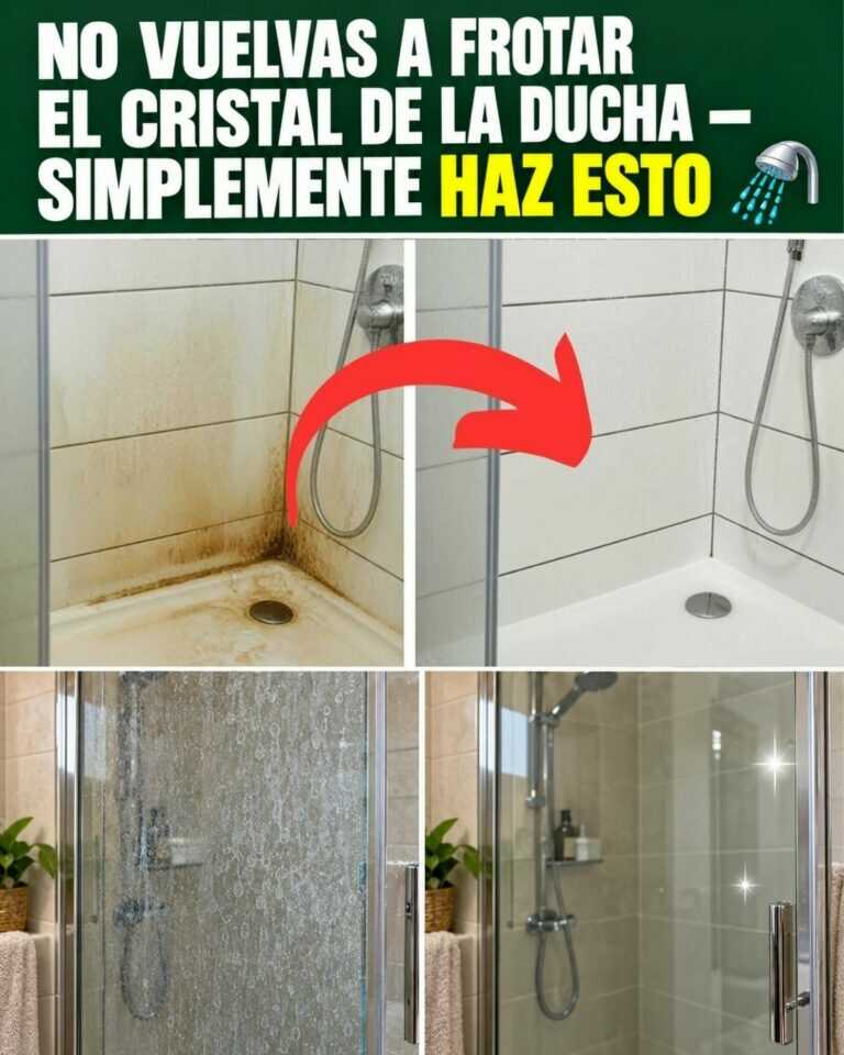 No vuelvas a frotar el cristal de la ducha — simplemente haz ESTO 🚿