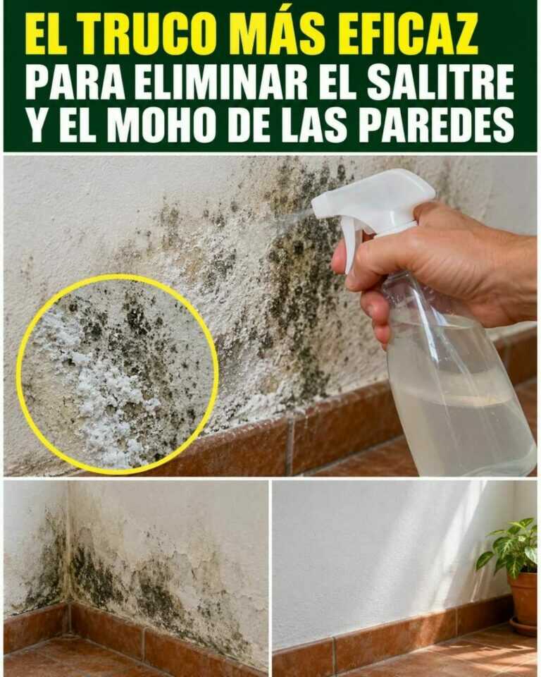 Uno de los trucos más eficaces para combatir el salitre y el moho de las paredes