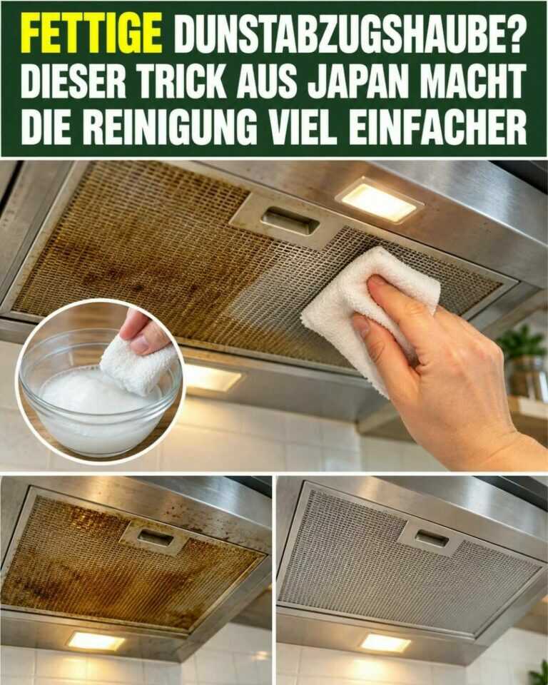 Fettige Dunstabzugshaube? Dieser japanische Trick macht die Reinigung deutlich leichter