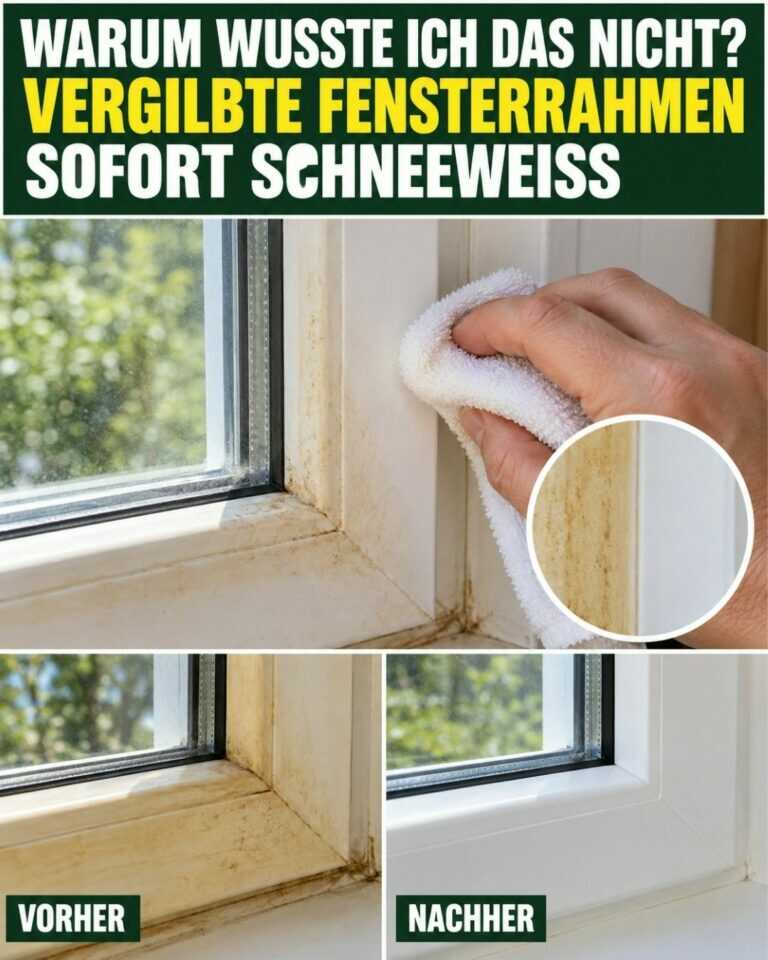 Warum wusste ich das nicht? Vergilbte Fensterrahmen sofort schneeweiß