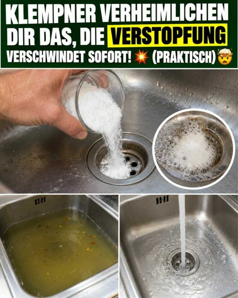 KLEMPNER VERHEIMLICHEN dir das, die VERSTOPFUNG VERSCHWINDET sofort! 💥 (PRAKTISCH) 🤯