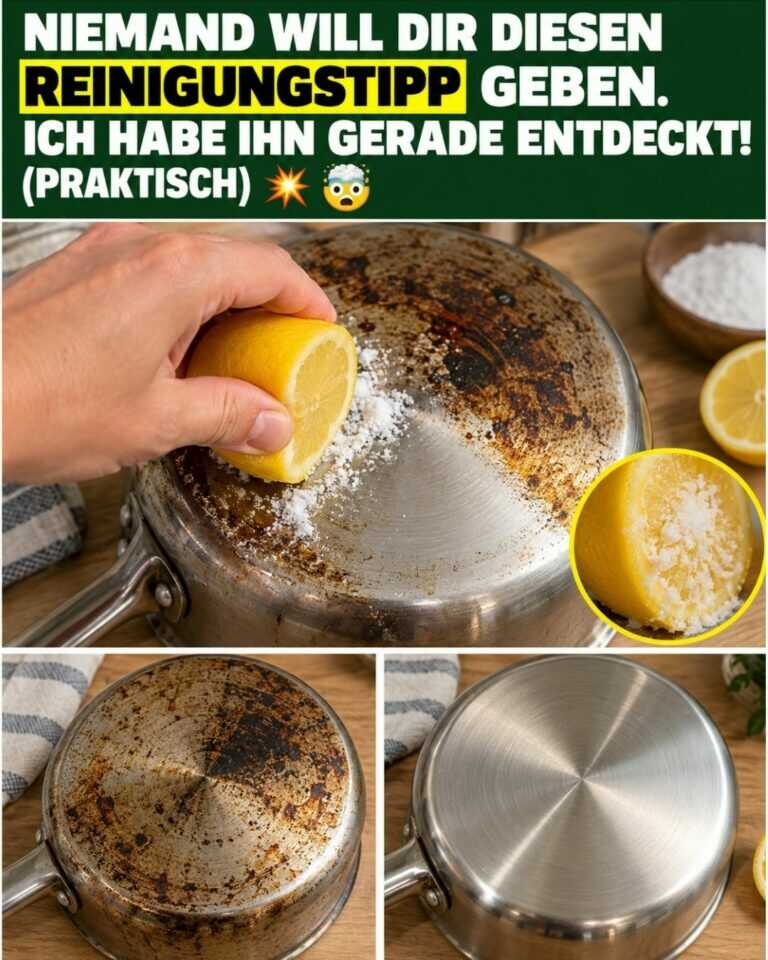 NIEMAND will dir diesen REINIGUNGSTIPP geben. Ich habe ihn GERADE ENTDECKT!💥 (PRAKTISCH) 🤯