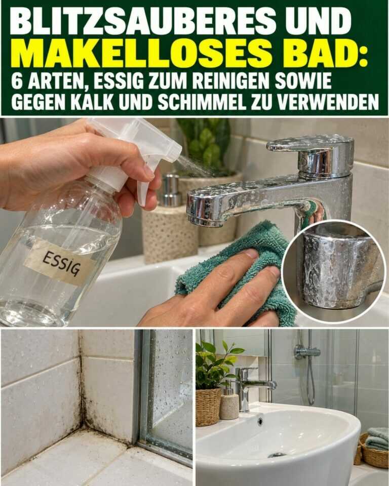 Blitzsauberes und makelloses Bad: 6 Arten, Essig zum Reinigen sowie gegen Kalk und Schimmel zu verwenden