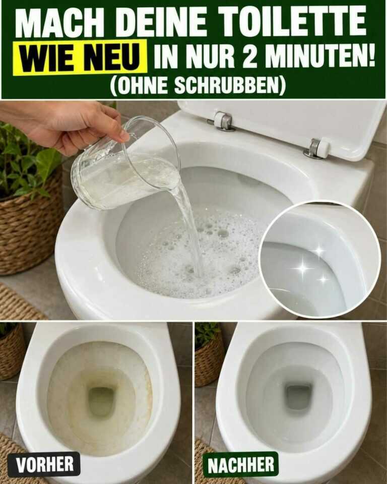 Mach deine Toilette in nur 2 Minuten wieder wie NEU — ganz ohne Schrubben