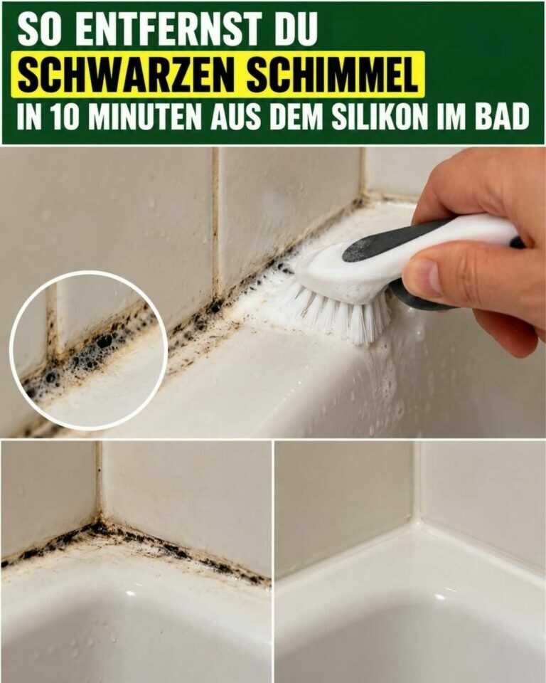 So bekommst du schwarzen Schimmel in etwa 10 Minuten vom Silikon im Bad
