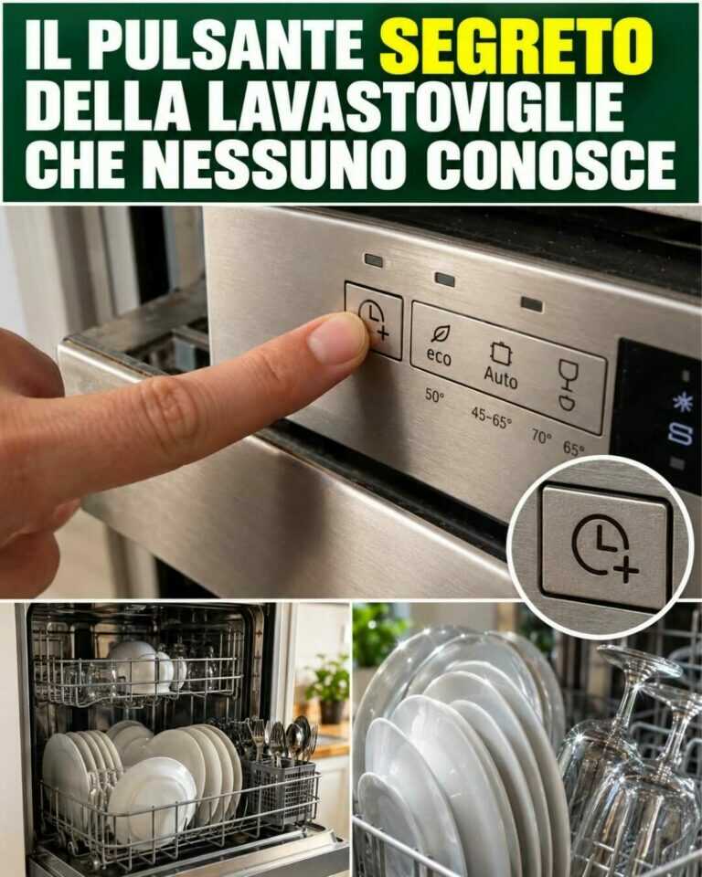 Il pulsante nascosto della lavastoviglie che quasi NESSUNO conosce