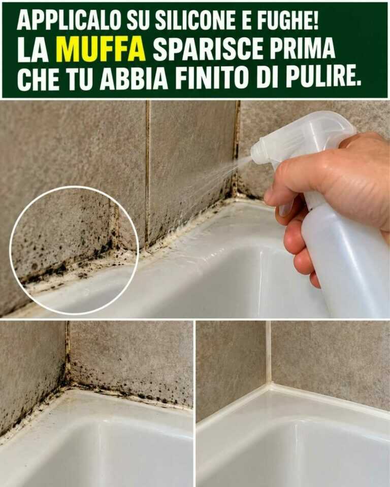 Applicalo su silicone e fughe — la MUFFA può venire via molto più facilmente