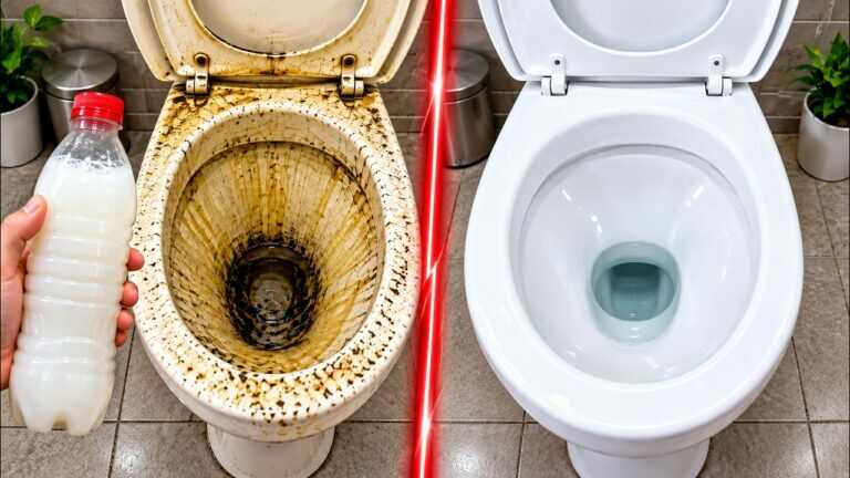 Stark verschmutzte Toilette mit Kruste? So kannst du sie einfach und günstig reinigen