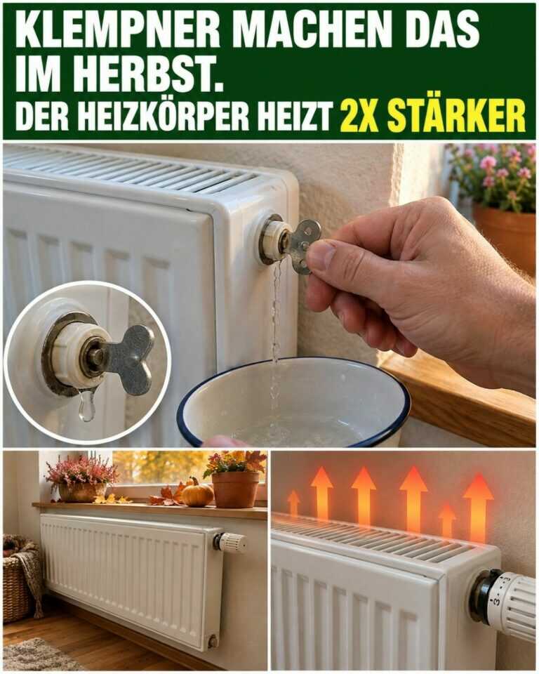 Klempner machen das im Herbst. Der Heizkörper heizt 2x stärker