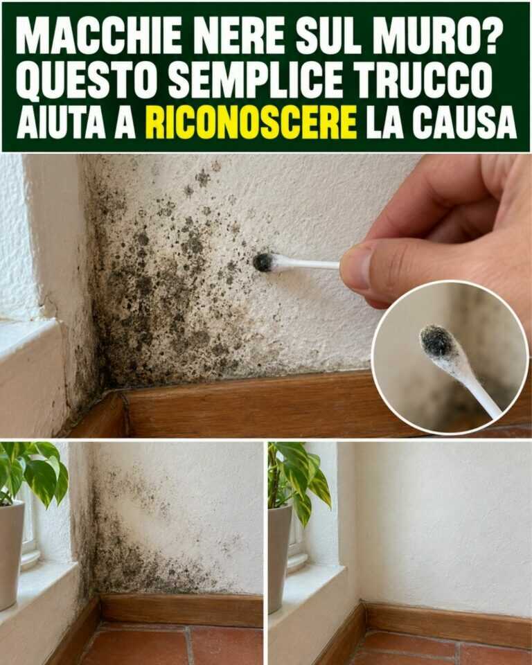 Macchie nere sul muro? Questo semplice trucco aiuta a RICONOSCERE la causa