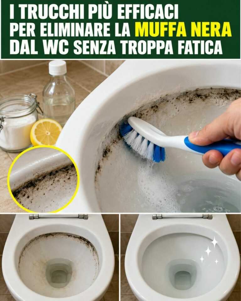 I trucchi più efficaci per eliminare la muffa nera dal WC senza troppa fatica